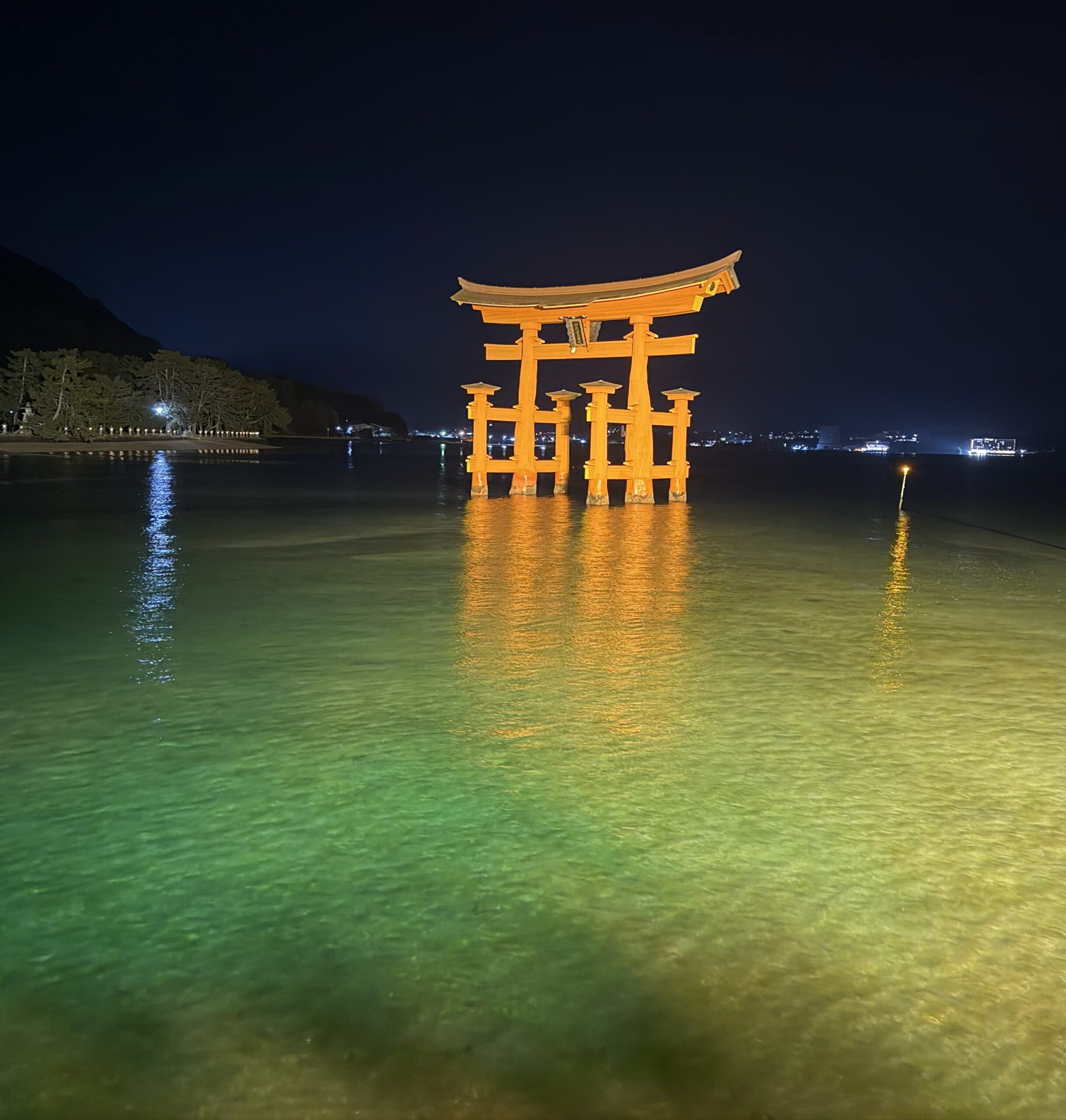 本年もどうぞよろしくお願い致します。